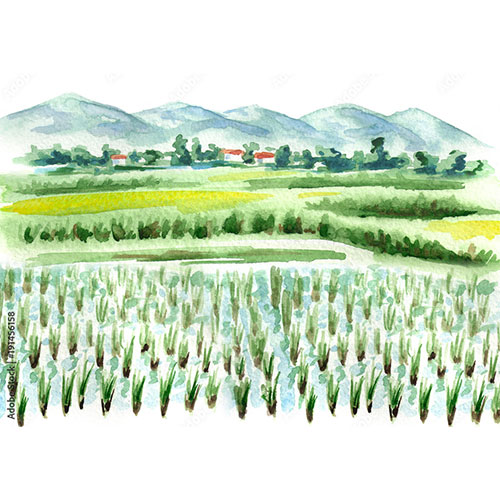 collection-recit-terroir Collection récit du terroir