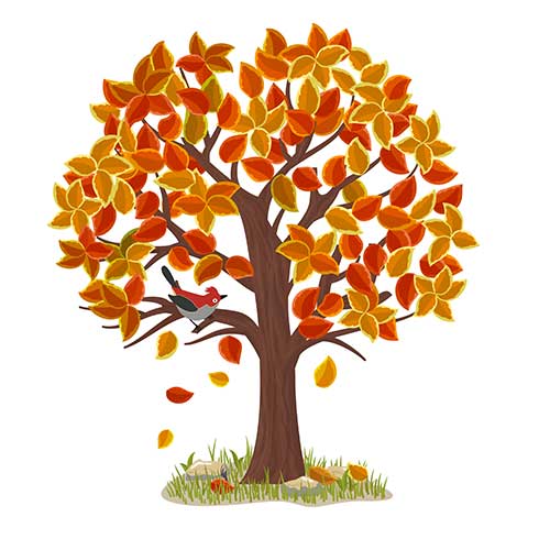 img-collect-automne-freepik l'automne