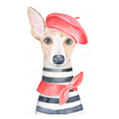 img-collect-douce-france Collection douce France