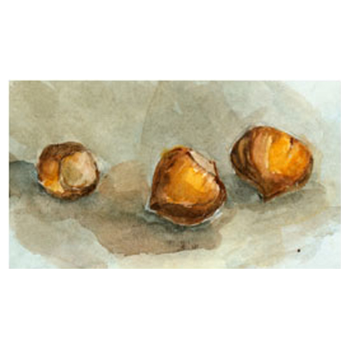 img-collect-noisette Noisettes