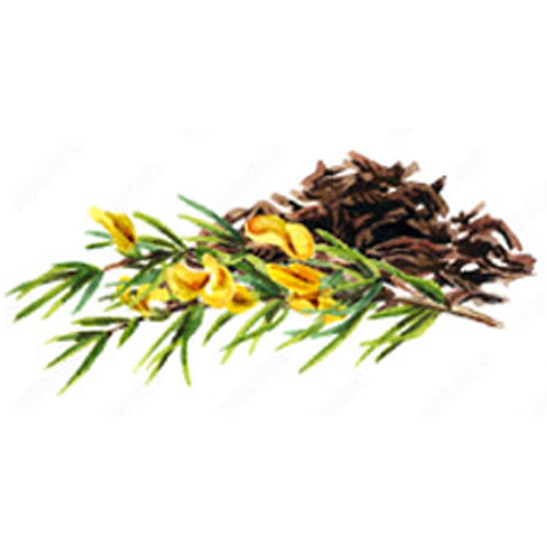 img-collect-robios Robios