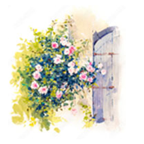 img-collect-route-rose Collection route de la rose du Loire