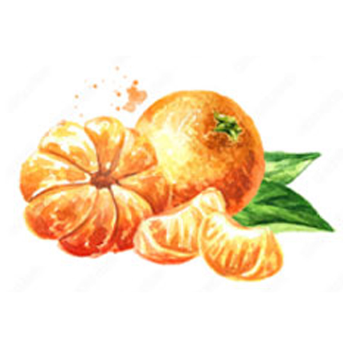 img-collect-temps-agrume l'hver le temps des agrumes